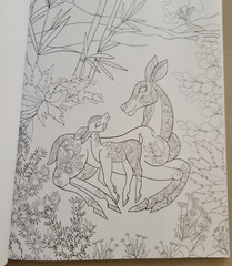 LOVE YOU MOM ADULT COLORING BOOK – 2021 TOPIX MEDIA – 47 FESTIVE COLORING PAGES