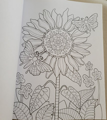 LOVE YOU MOM ADULT COLORING BOOK – 2022 TOPIX MEDIA – 47 FESTIVE COLORING PAGES