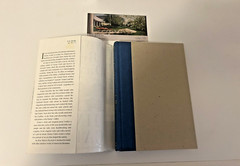 Signed Jimmy Carter An Hour Before Daylight First Ed HCDJ And Library Ticket