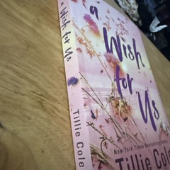 A Wish for Us by Tillie Cole Sprayed On Edges