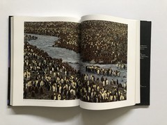 Galen Rowell – ‚A Retrospective‘ (2006) First Edition 13″h X 10.5″w 288 Pages