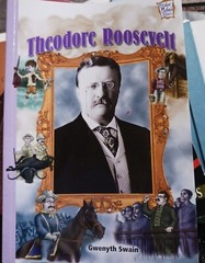 History Maker Bios Ser.: Theodore Roosevelt by Gwenyth Swain (2004, Trade…