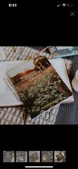 Brand New Grace In Chaos, 5 Week Hope For Hard Days Of Motherhood Bible Study