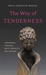 The Way of Tenderness: Awakening through Race, Sexuality, and Gender paperback