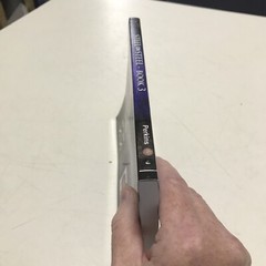 Steel on Steel Book 3 – By Bill Perkins Paperback 2020