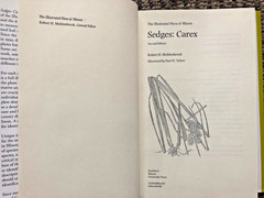 SECOND EDITION „Sedges: Carex,“ Vol. 14 in „The Illustrated Flora of Illinois“