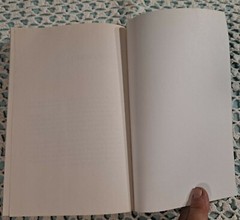 Hystopia by David Means, April 2017 (1st Picador Edition), 336 pages