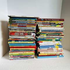 Lot of 10 Chapter Books Mixed Lot 2nd 3rd Grade Fiction Classroom Library Set