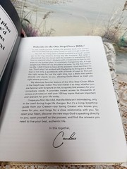 One Step Closer Bible ~ By Cameron Bure ~ Leather-Like Cover ~ Gold ~ New w/Box