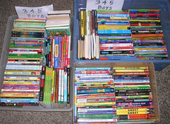 Random Lot 20 BOYS Reading Level 3rd 4th 5th Grade Chapter Books FREE SHIP