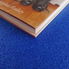 LOVE IN CONDITION YELLOW: A MEMOIR OF AN UNLIKELY MARRIAGE HARDCOVER SHIPS FREE