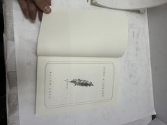 Theo of Golden Paperback 2023 by Allen Levi