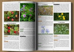 Wilderness Long-Term Survival Guide: Forgotten Skills to Make the Wild Your Home