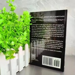 The Mountain is You By Brianna Wiest USA Stock Premium Quality Free Shipping