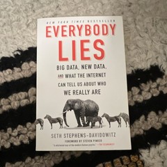 Seth Stephens-Davidowitz Everybody Lies Big Data Paperback Dey St. 2017