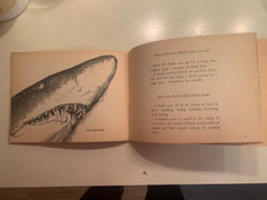 Sharks book by Ann McGovern. 47 pages. Scholastic Book services. Copyright 1976
