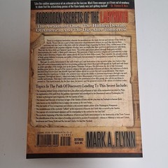 Defender Mark A. Flynn Paperback Forbidden Secrets Labyrinth Occult Religion