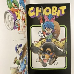 Akira Toriyama THE WORLD SPECIAL Art Book Illustration