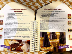 Cupcake and Muffin Cookbook 47 Pages Washable Spiral Hardback with Photos 2005