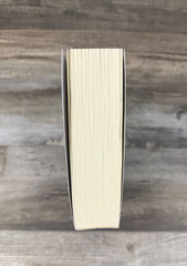 Out Of Print SOULS IN RUIN Jacqueline White OOP SELF-PUBLISHED Paperback