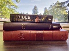 Zondervan’S Compact Bible Dictionary