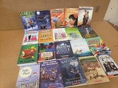Lot of 50 Chapter INSTANT LIBRARY Children Young Adult RANDOM UNSORTED BOOKS MIX