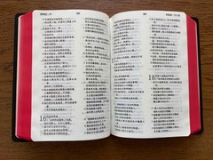 和合本 简体中文圣经 全新塑封 64K Simplified Chinese Bible CUV 美国本土发货 Pocket Size 红边 US Stock