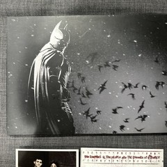 Batman Arkham Origins Collector’s Edition Artbook Hardcover Wayne Family Photo