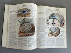 Ciba Collection of Medical Illustrations Volume 1 Nervous Systems Part 1 Netter