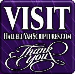 Genuine Leather STANDARD HALLELUYAH SCRIPTURES Bible + Free Books