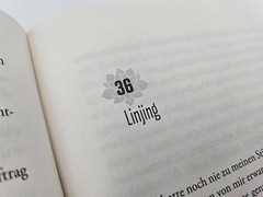 Die Lotosschuhe Jane Yang