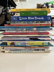 Lot Of Children’s Books, 21 Books In Total, Assorted Authors, Great Shape