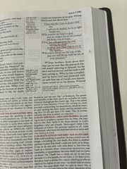 FIRE BIBLE New living Translation Chi Alpha Edition Leather Soft Cover