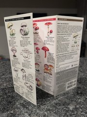 Pocket Naturalist Guide To North American Mushrooms Laminated Pamphlet
