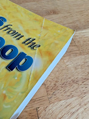 Tales from the Time Loop by David Icke Big Brother Global Conspiracy Book