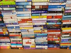 Books by Genre 5 LBS (Pounds) Box Value Lot Sorted Hardback / Paperback MIX SET