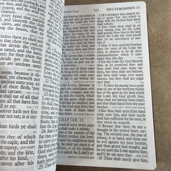 Thomas Nelson King James Holy Bible Giant Print Soft Leather KJV Brown