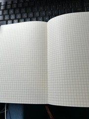 Time flies notebook – 5 by 8 inches – 200 graph pages and ribbon