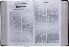 Cepher – LARGE PRINT soft cover