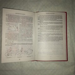 МАССАЖ от А до Я,  СОВРЕМЕННЫЕ РЕКОМЕНДАЦИИ ПО ИСКУССТВУ МАССАЖА.    Е.ГРИЦАК.