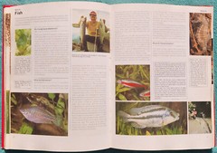 All-Colour Question And Answer Encyclopedia 1979 Illustrated Hardcover 220 Pages