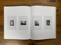 Sherrie Levine Mayhem First 1st Edition Hardcover Whitney Museum 2012