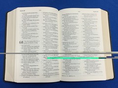 TLV Tree of Life Version Personal Size Giant Print Ref Bible Black Messianic