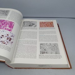 Histology for Pathologists: 3rd Edition 2007 Hardcover by Stacey E. Mills