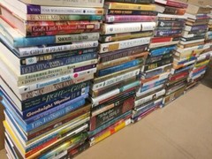 Books by Genre 20 LBS (Pounds) Box Value Lot Sorted Fiction/Nonfiction HB/PB SET