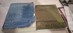 american literature the makers and the making book A & B set st. martin’s press