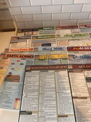 Lot of 18 Laminated Study Guides QuickStudy & SparkCharts