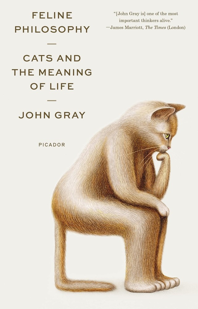 Feline Philosophy – paperback Gray, John