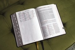 KJV, Thompson Chain-Reference Bible, Large Print, Bonded Leather, Black, Red …