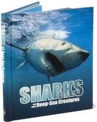 Great Big Book of Sharks and Other Deep Sea Creatures – Hardcover – GOOD